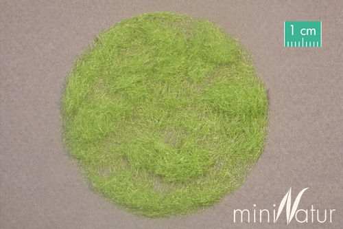 Silhouette 004-21 Gras Flock 4,5mm, 50g, Frühling