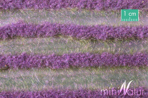 Silhouette 792-22S Lavendel Streifen, Sommer, ca. 67 cm