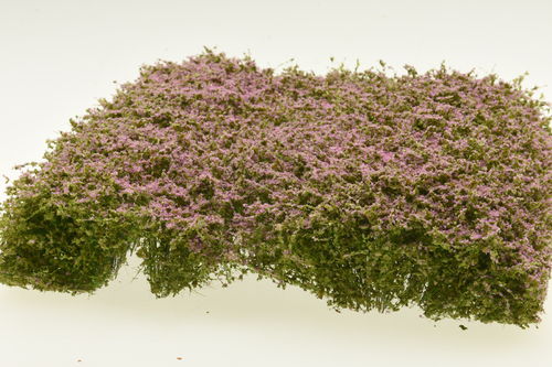 Silhouette 250-49 Sträucher, blühend violett