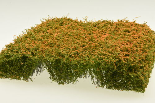 Silhouette 250-50 Sträucher, blühend orange